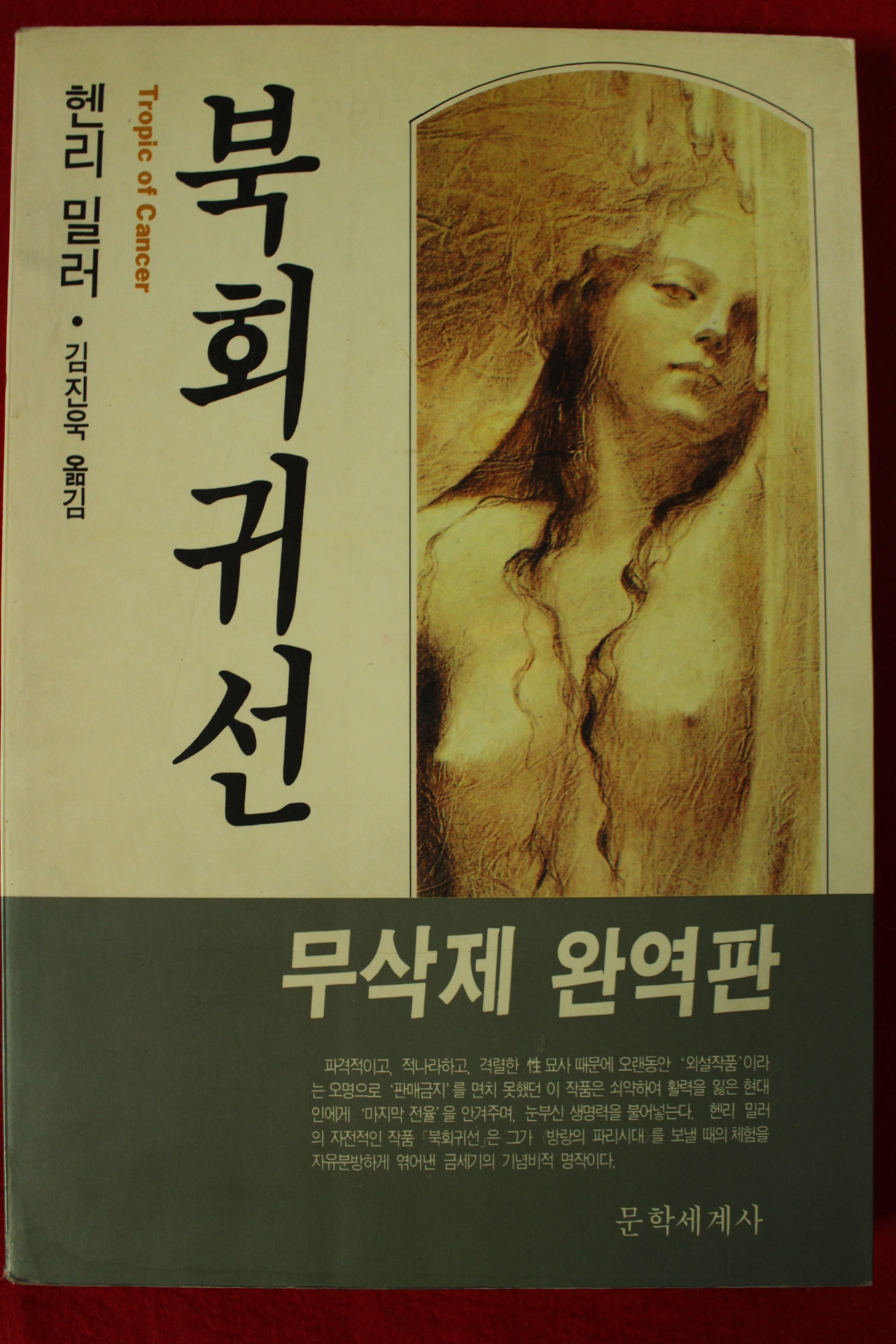 1991년 헨리밀러 김진욱옮김 북회귀선