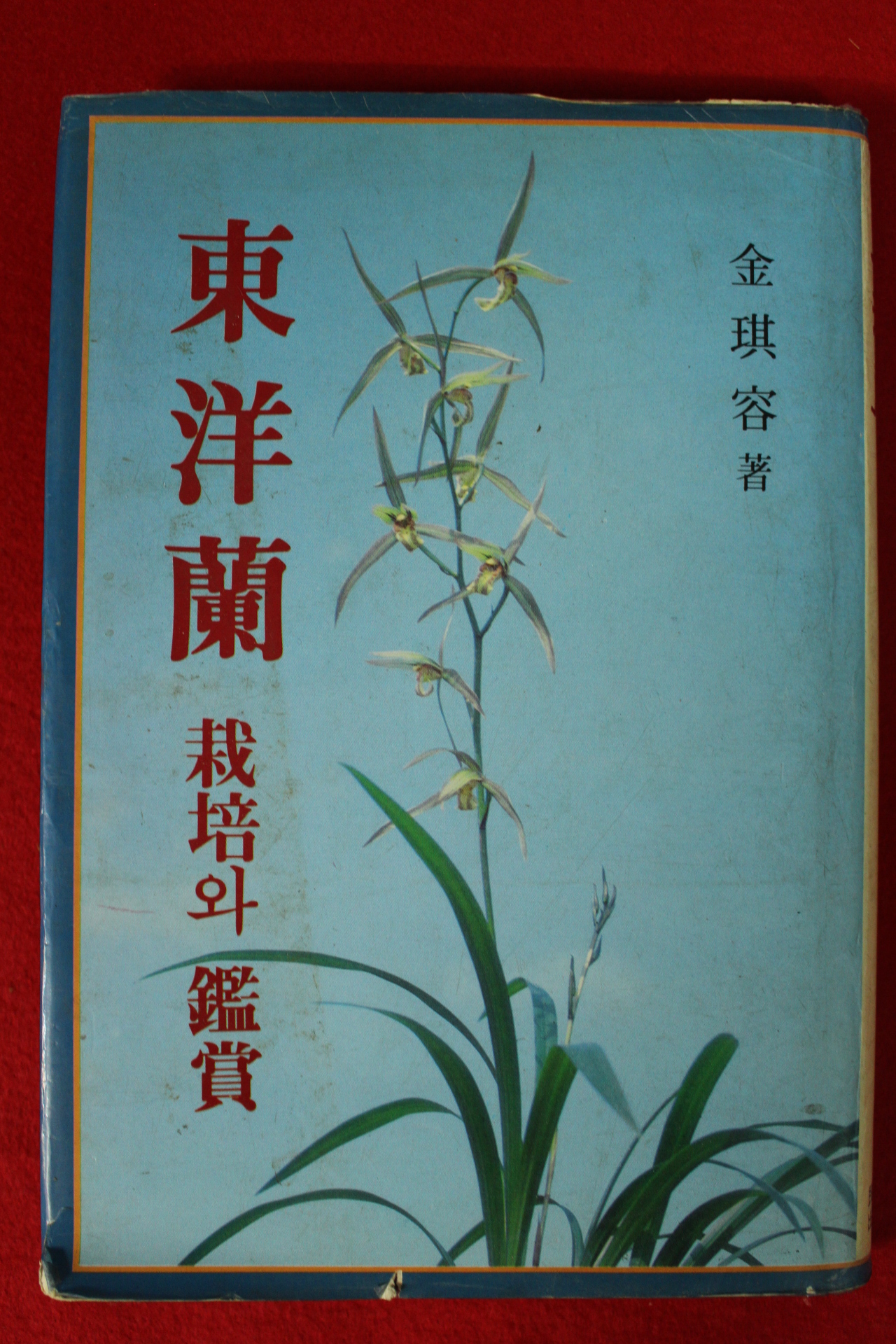 1981년 김기용(金琪容) 동양란 재배와 감상