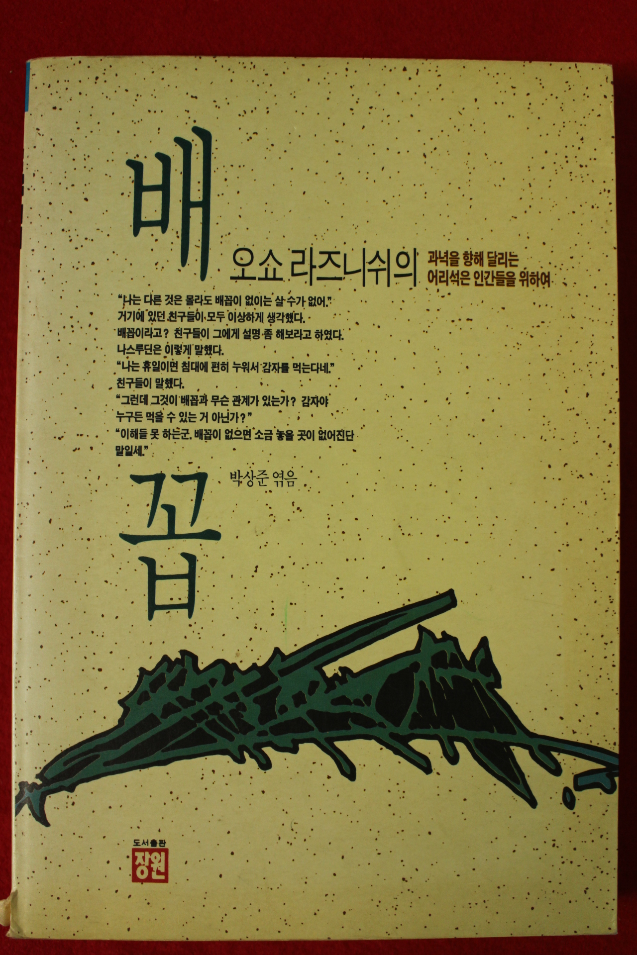 1991년 오쇼 라즈니쉬 배꼽