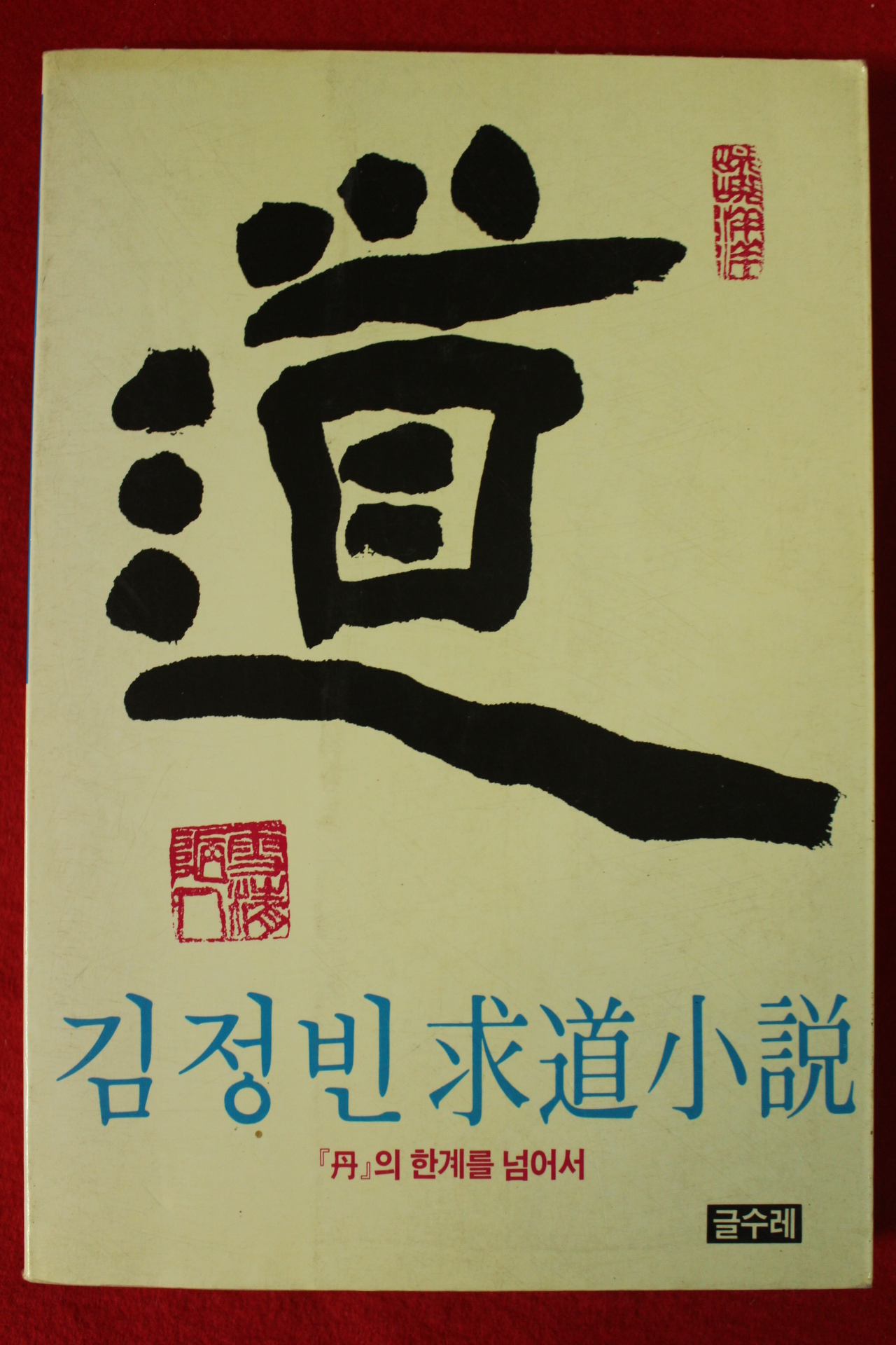 1993년 김정빈 구도소설 도(道)