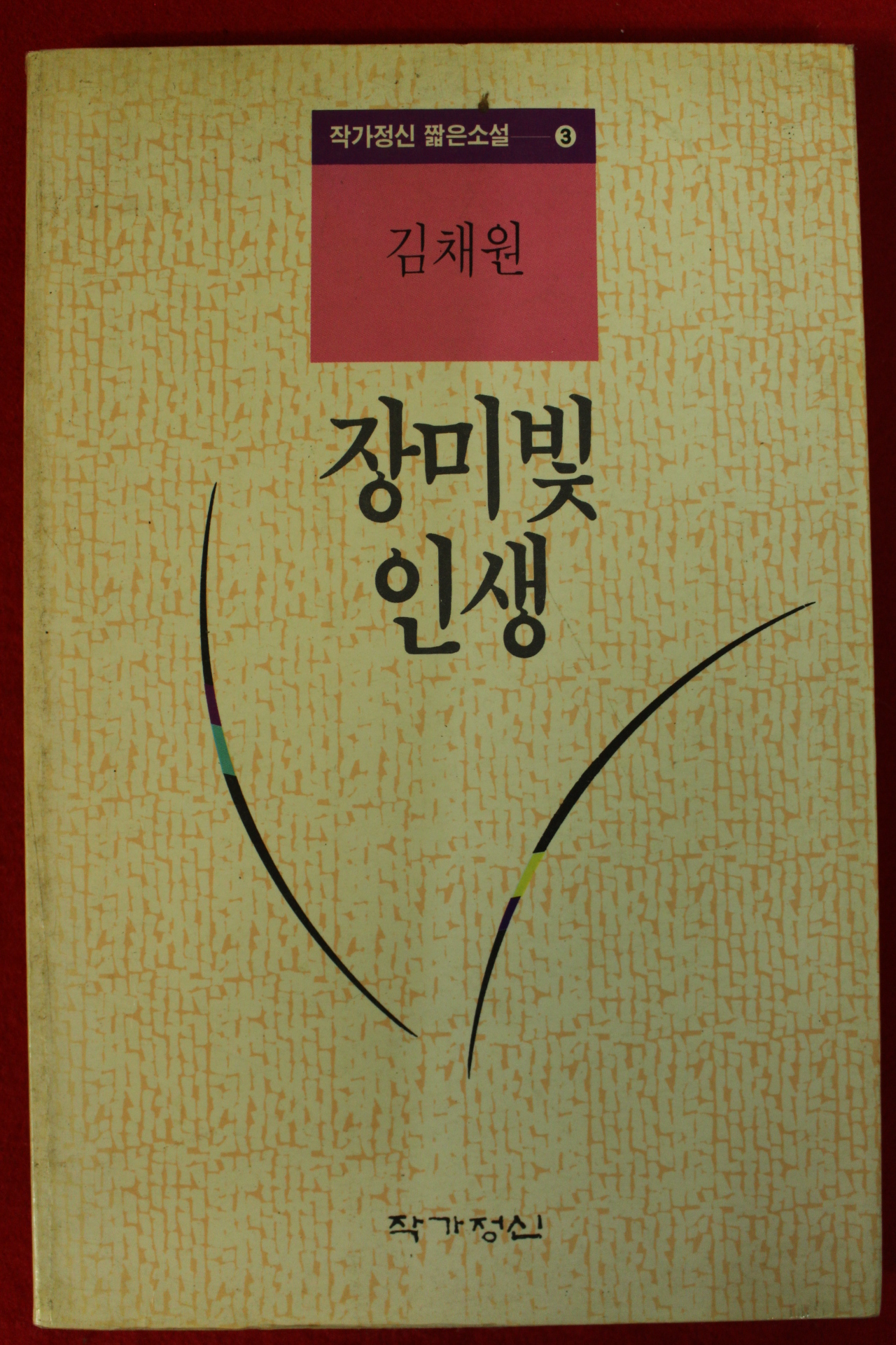 1992년 김채원 소설 장미빛 인생