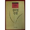 1992년 김채원 소설 장미빛 인생
