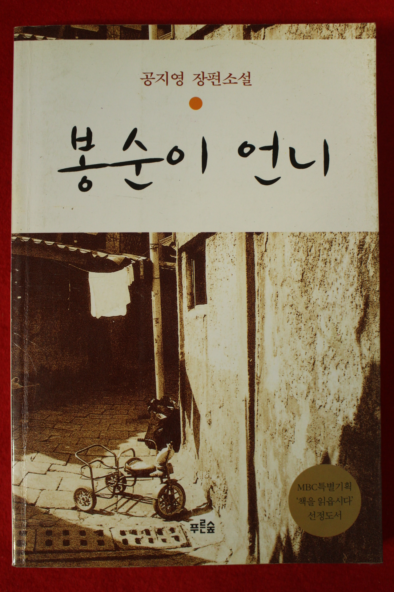 2003년 공지영 장편소설 봉순이 언니