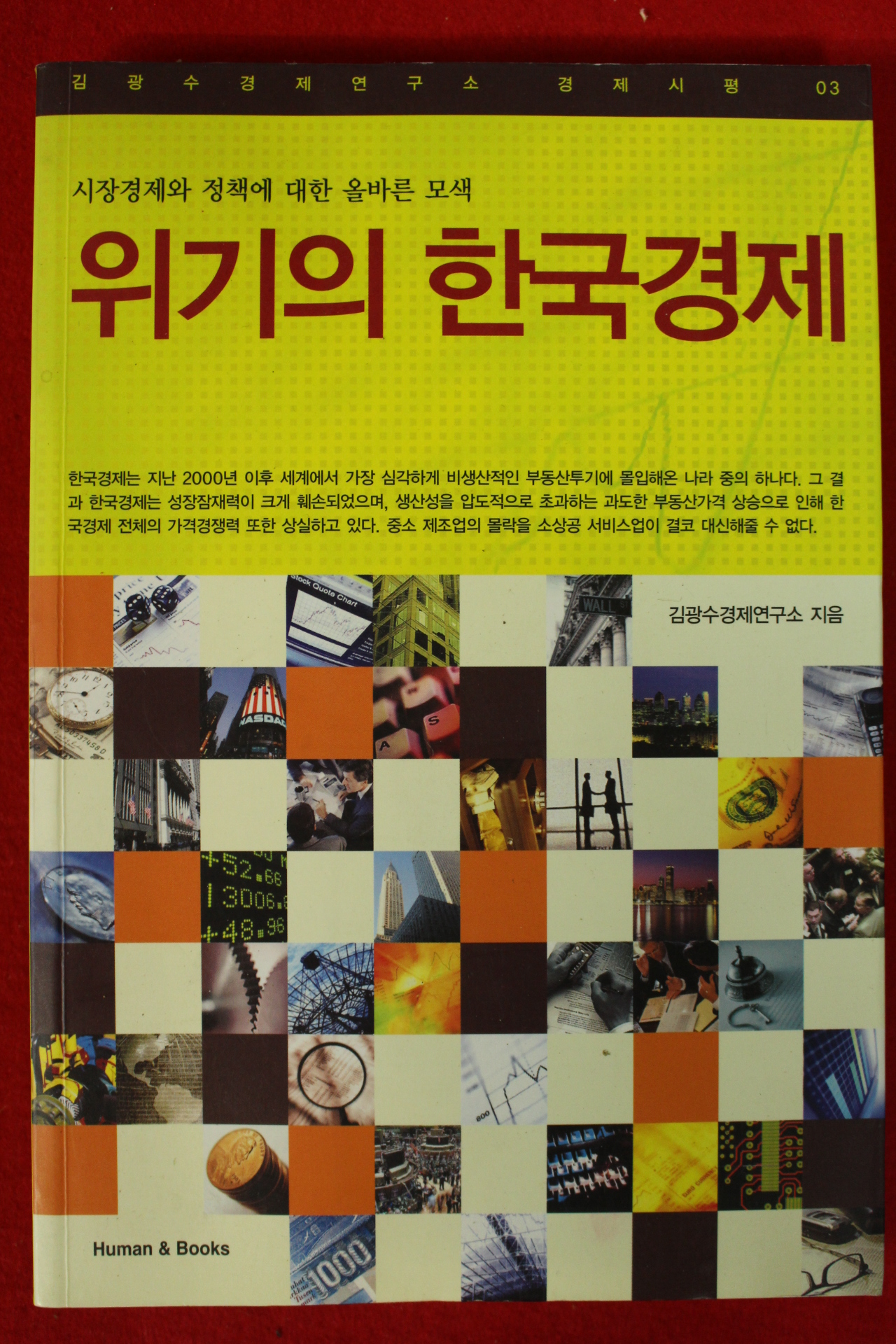 2008년초판 김광수 위기의 한국경제