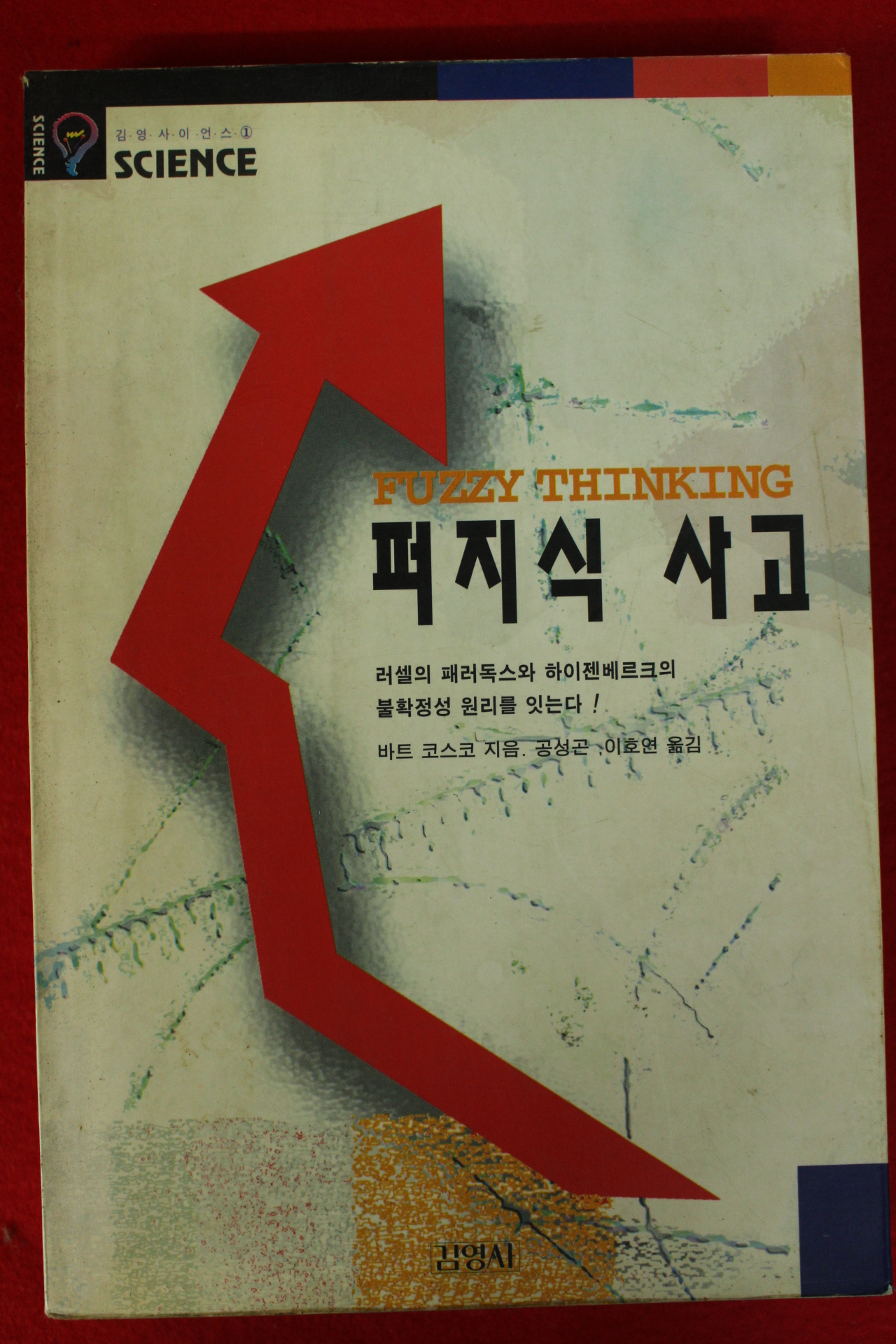 1996년 바트 코스코 피지식사고