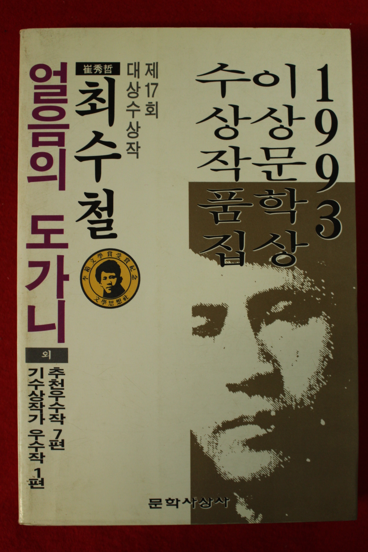 1993년초판 최수철 얼음의 도가니