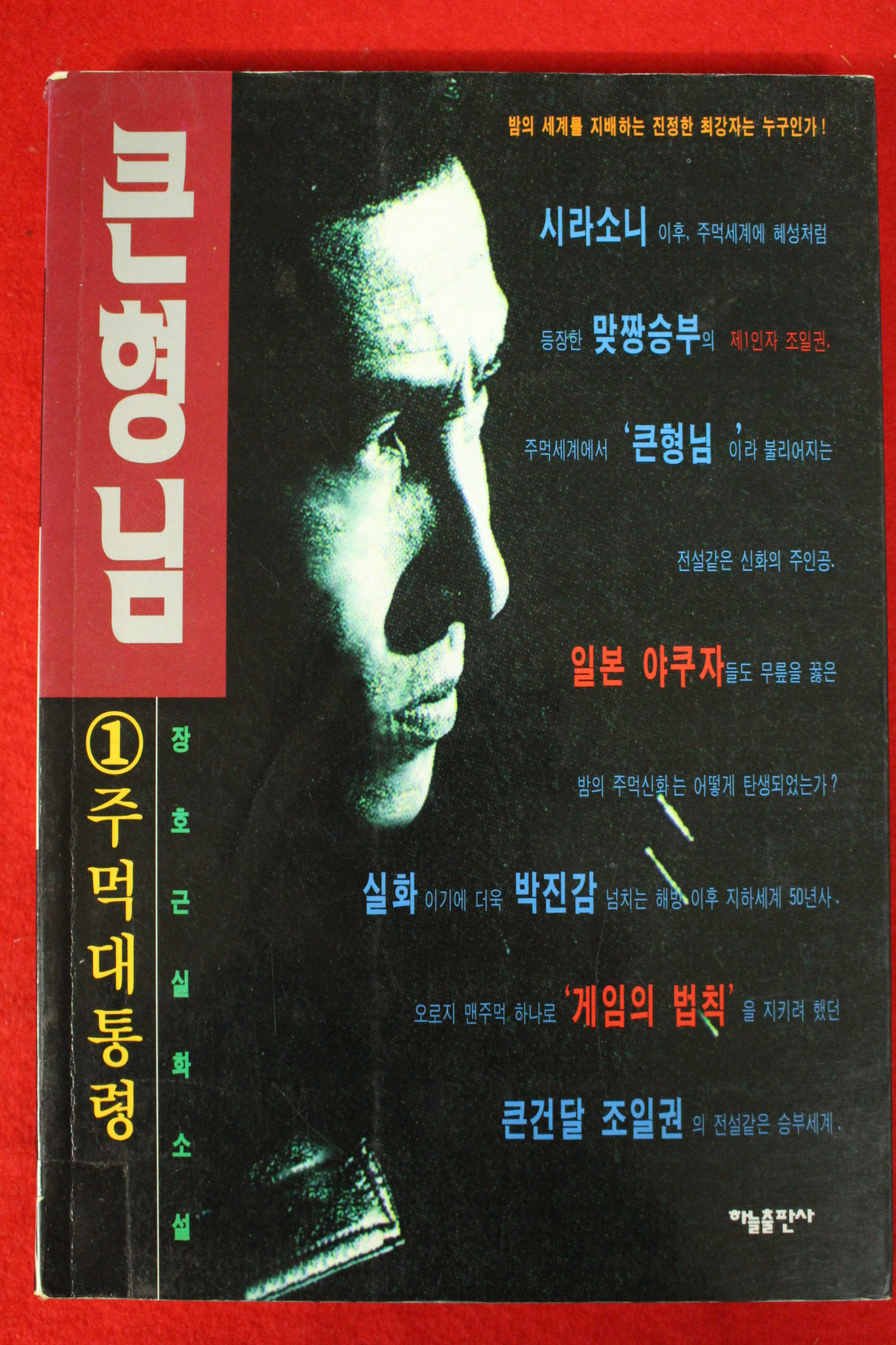 1995년 장호근 실화소설 큰형님 1