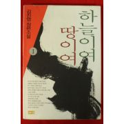 1998년 김진명 장편소설 하늘이여 땅이여 1