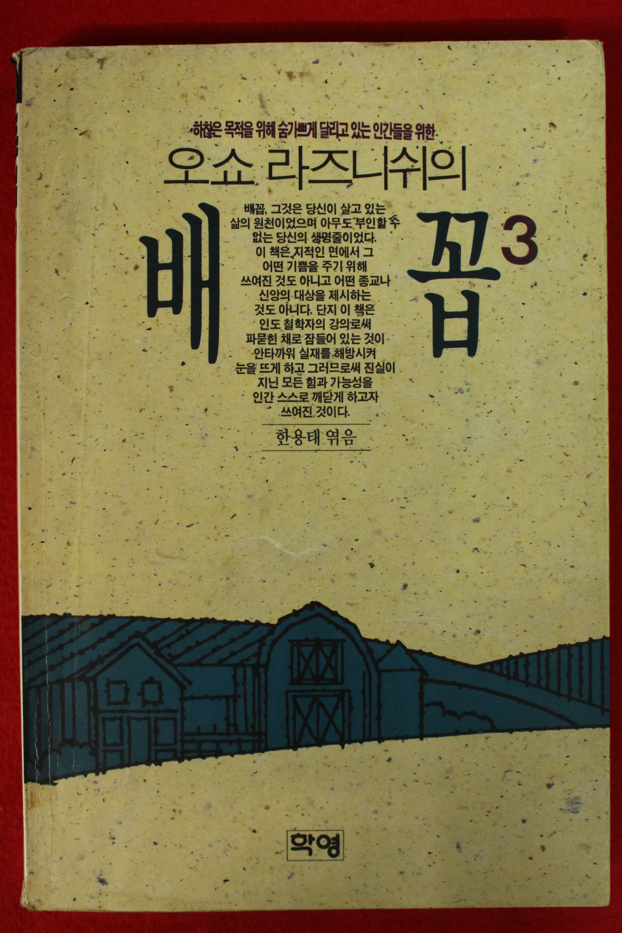 1991년 오쇼라즈니쉬 배꼽 3