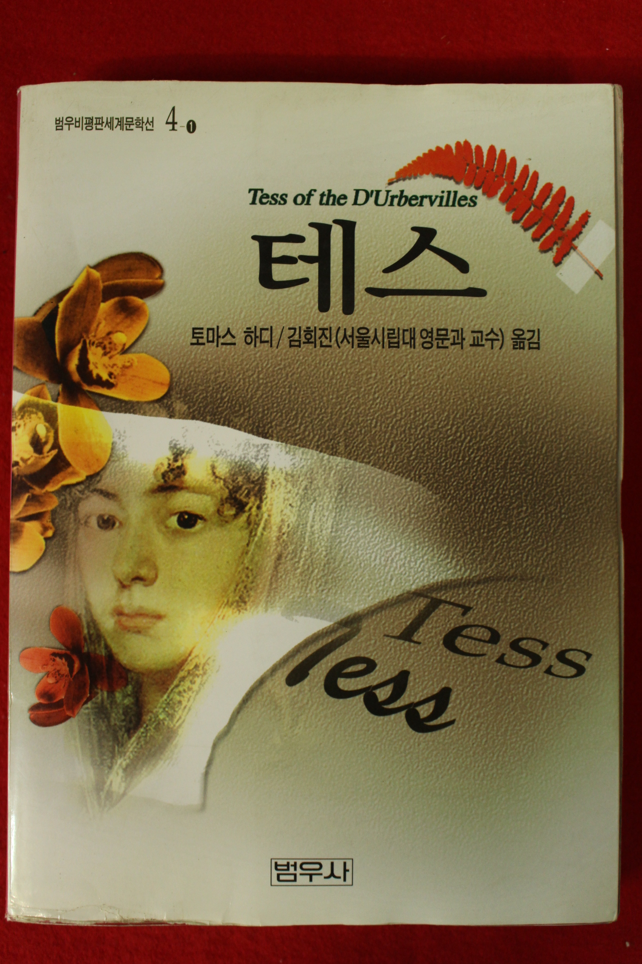 2004년 토마스 하디 김회진옮김 테스