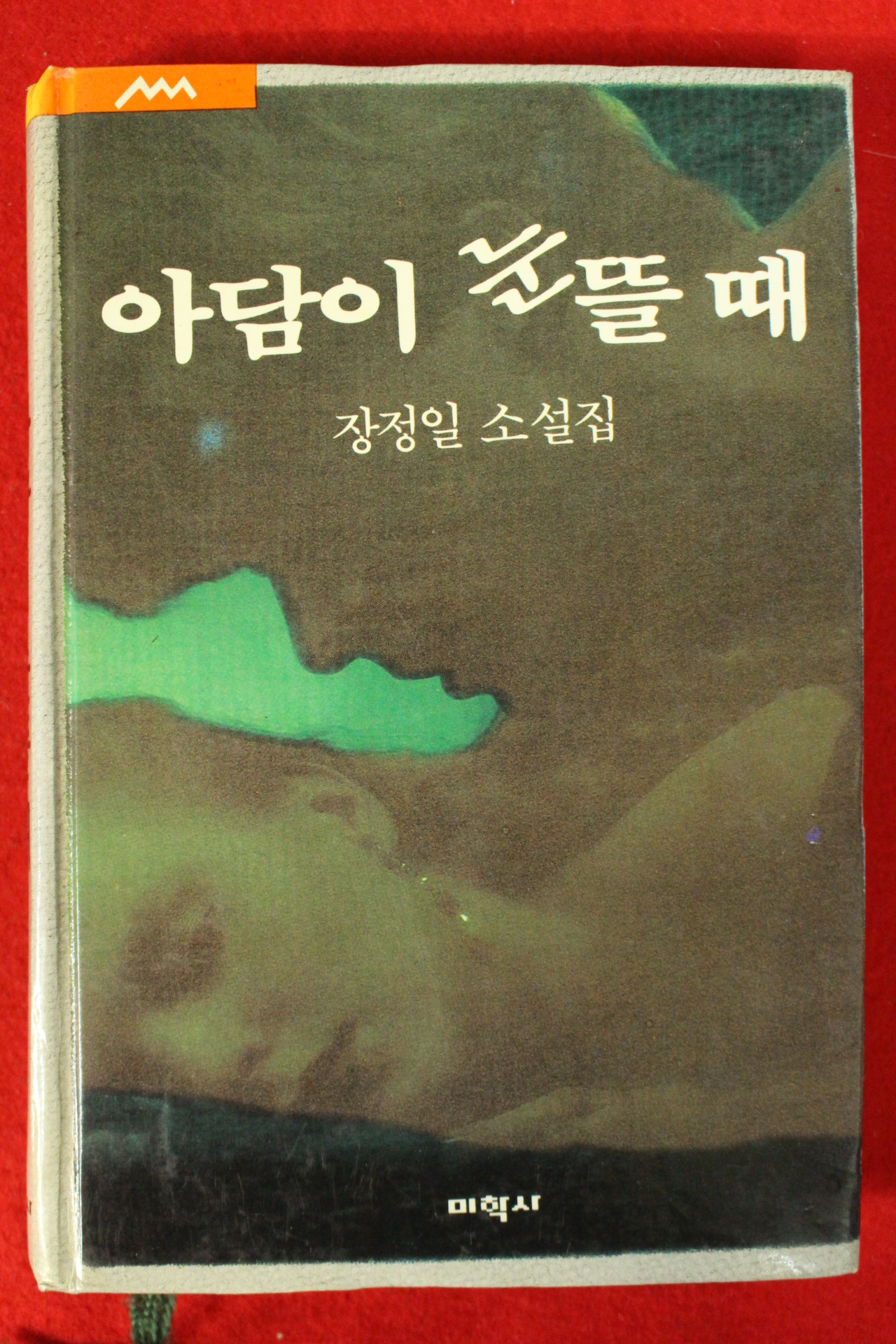 1990년장정일 소설집 아담이 눈뜰때