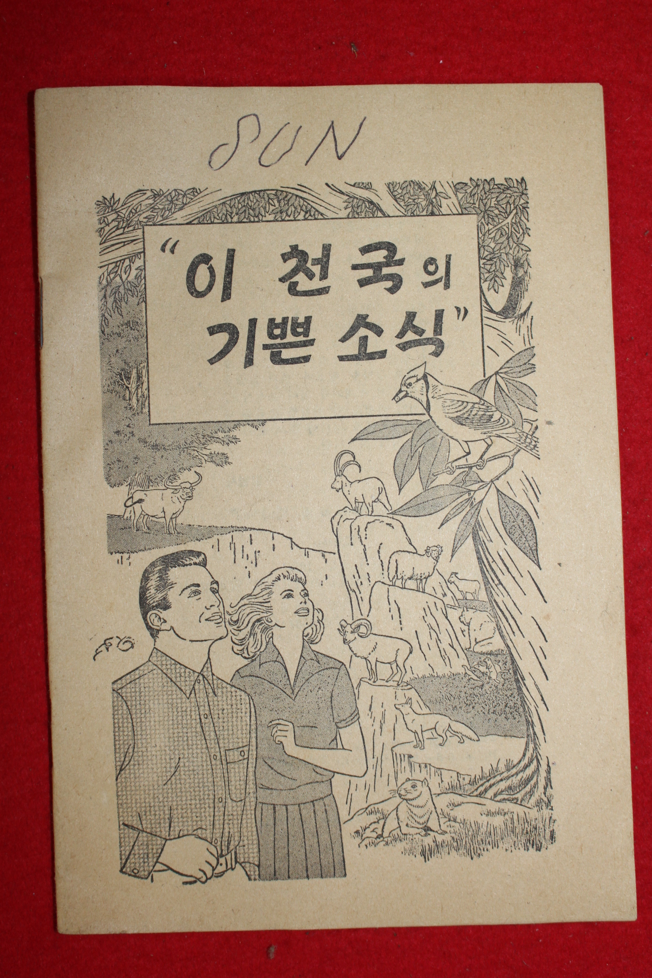 1979년 이천국의 기쁜 소식