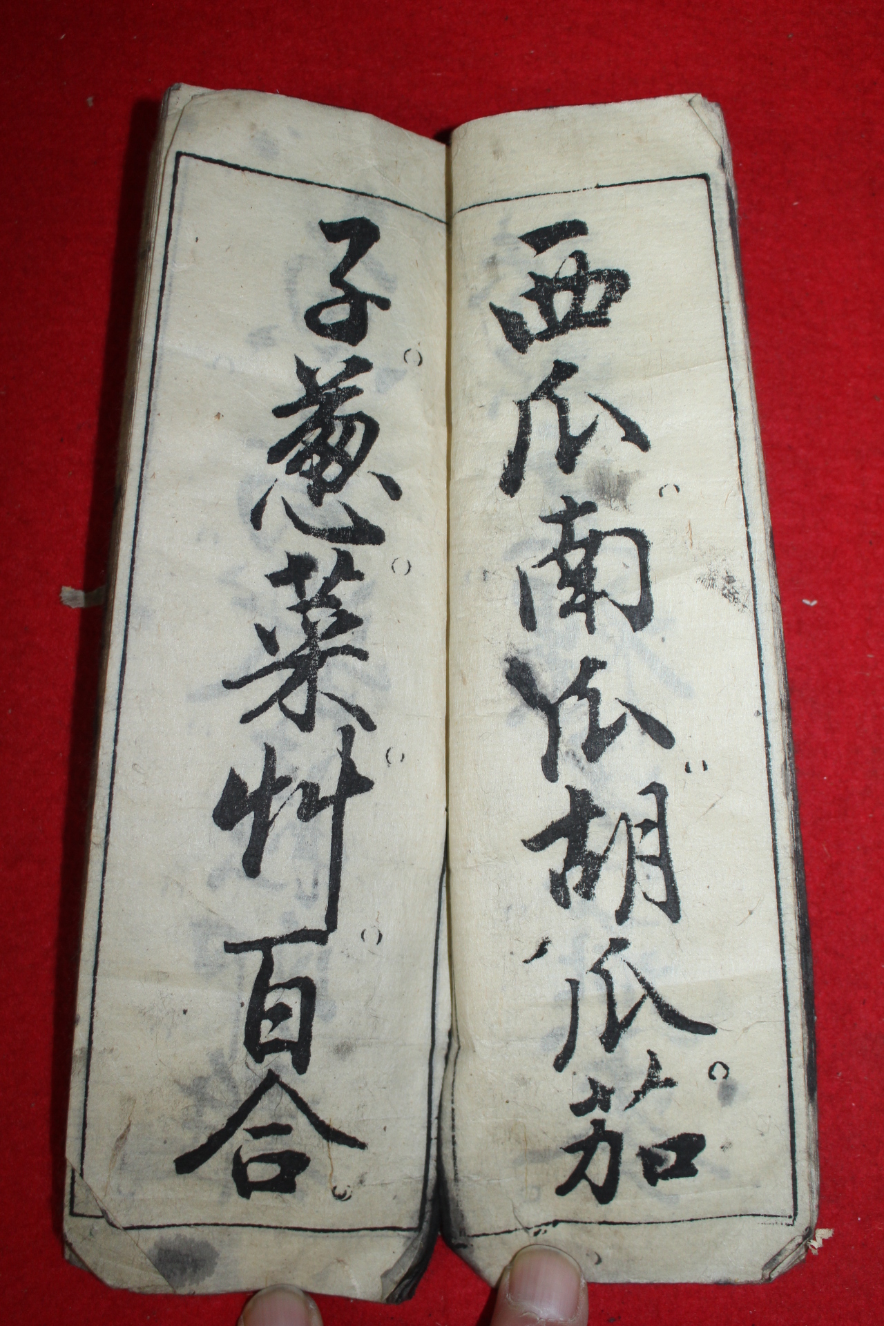 1888년(명치22년) 일본간행 신선습자본
