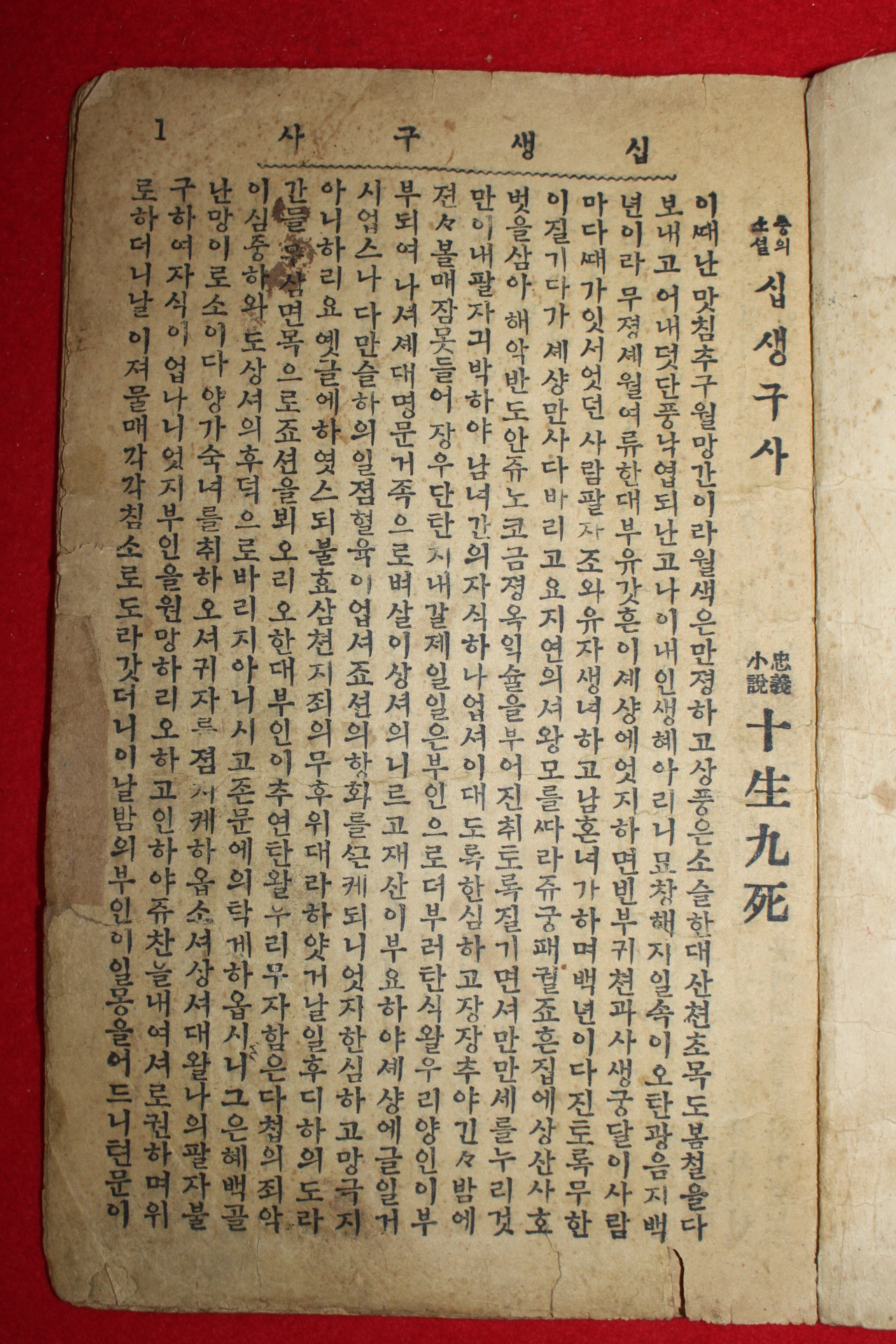 1925년 경성박문서관 충의소설 십생구사(十生九死)