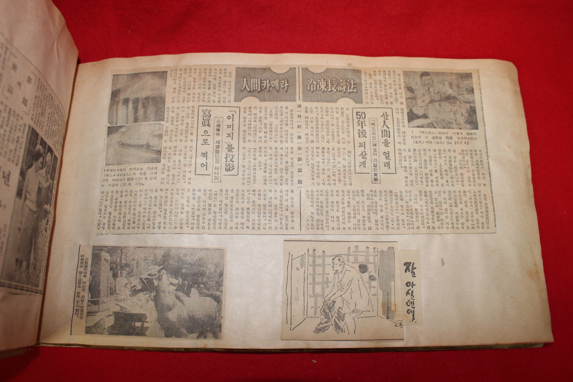 1968년 신문스크랩