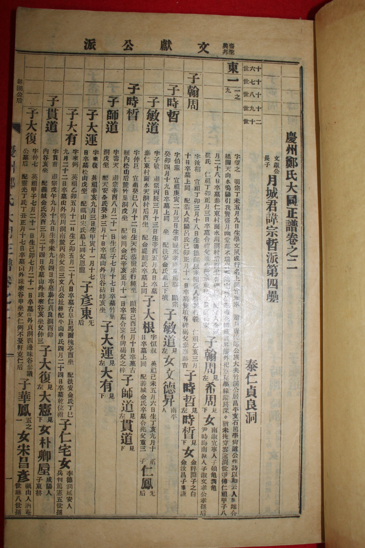 1958년 석판본 경주정씨대동정보(慶州鄭氏大同正譜)  11책