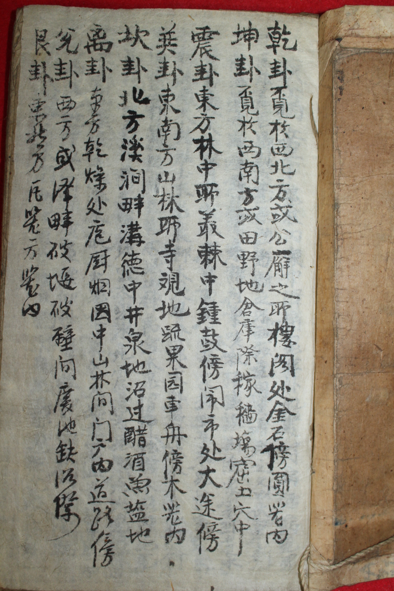 조선시대 필사본 의서 질병장(疾病章)