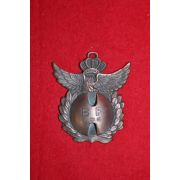 묵직한 황동으로된 독수리메달