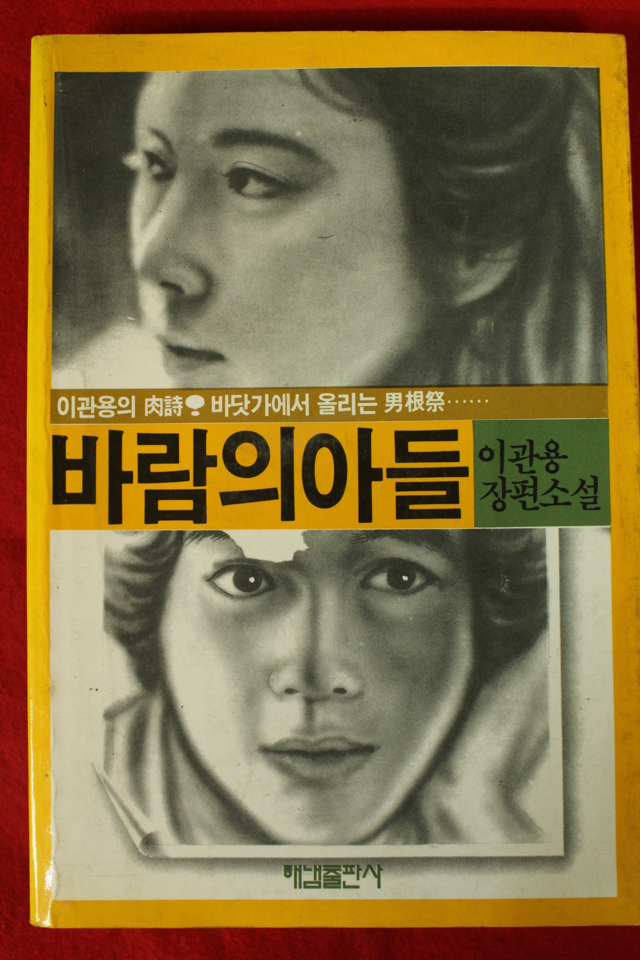1985년 이관용 장편소설 바람의 아들