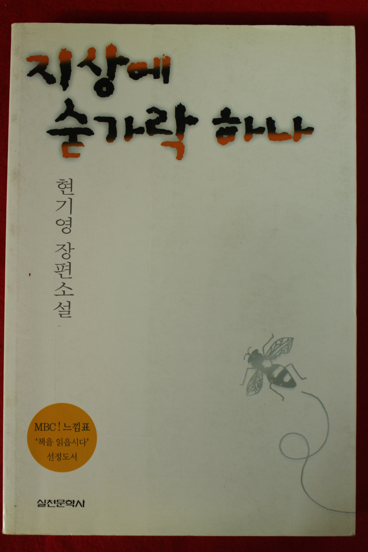 2003년 현기영장편소설 지상에 숟가락 하나