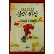 1991년 유홍종 장편소설불의 회상