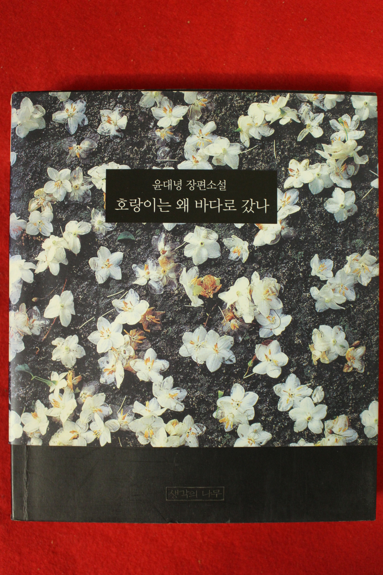 2005년초판 윤대녕 장편소설 호랑이는 왜 바다로 갔나
