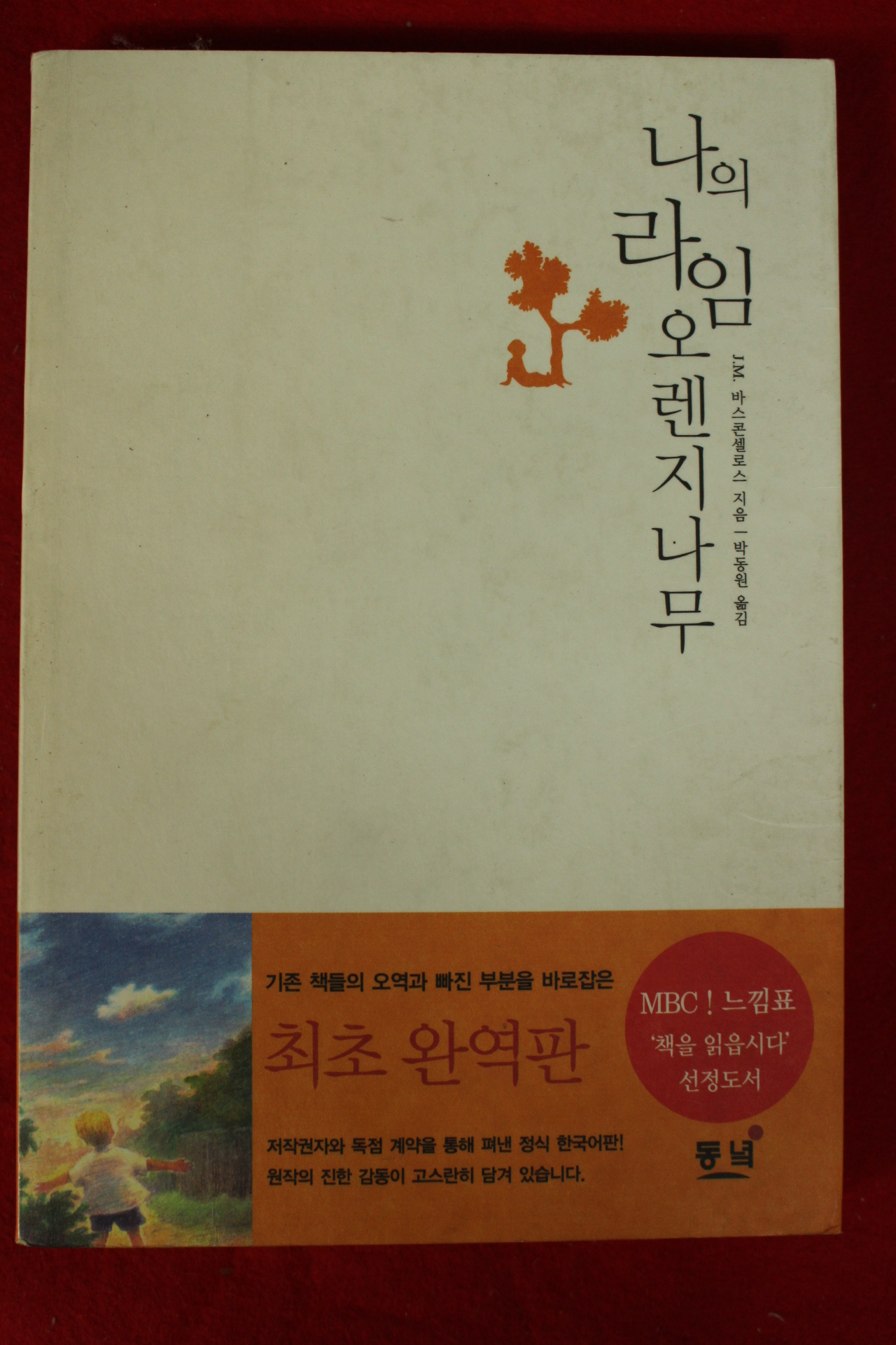 2003년 나의 라임 오렌지나무