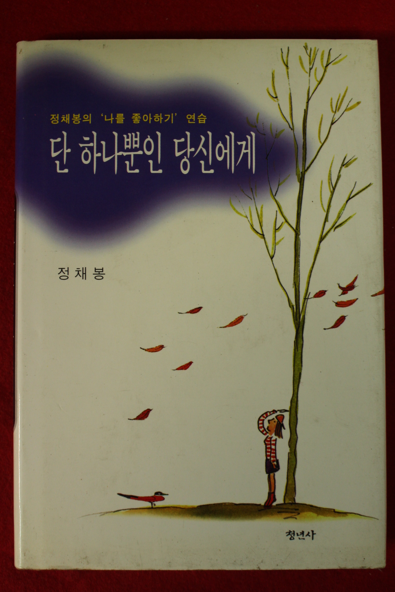 1996년 정채봉 단 하나뿐인 당신에게