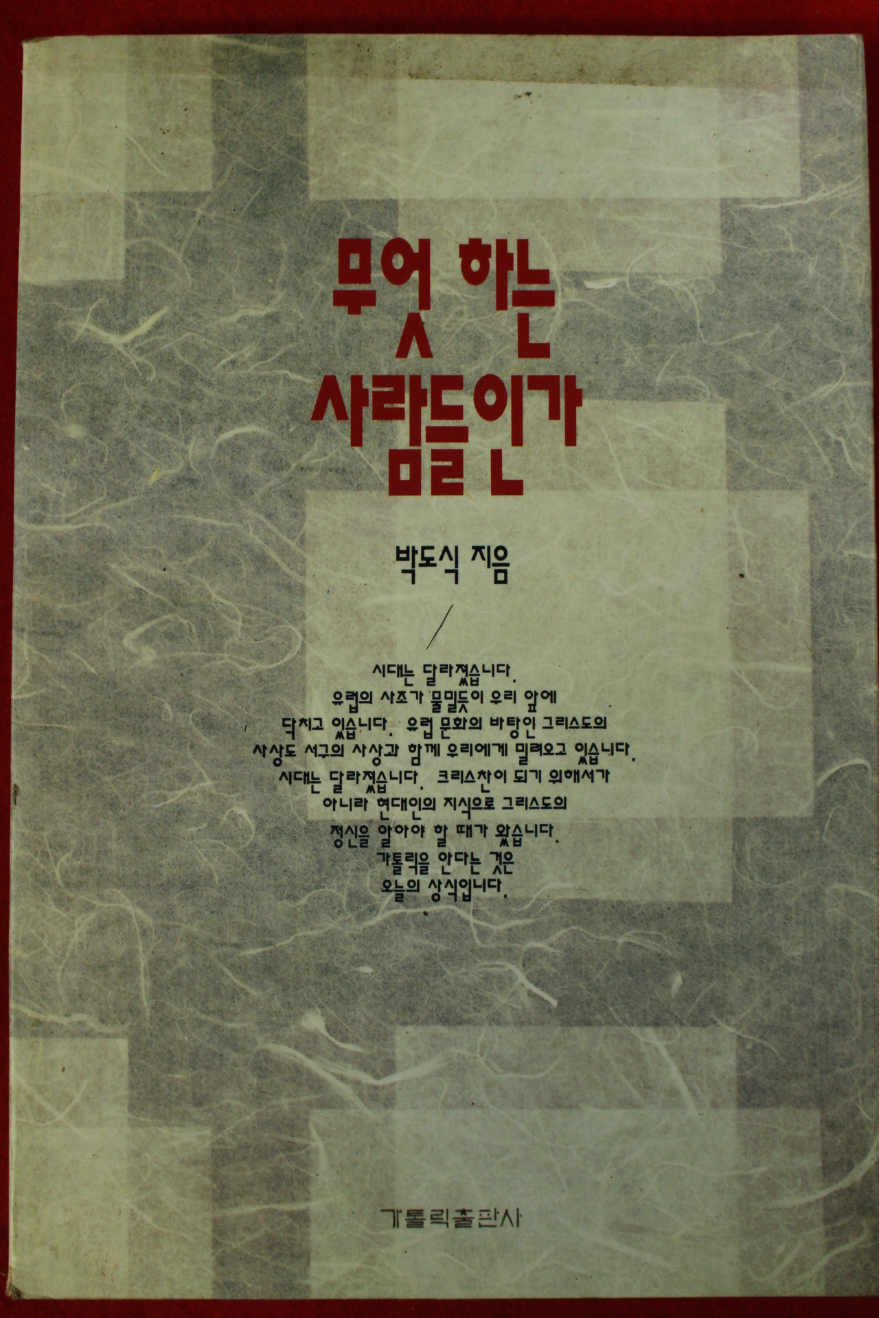 1995년 박도식 무엇하는 사람들인가