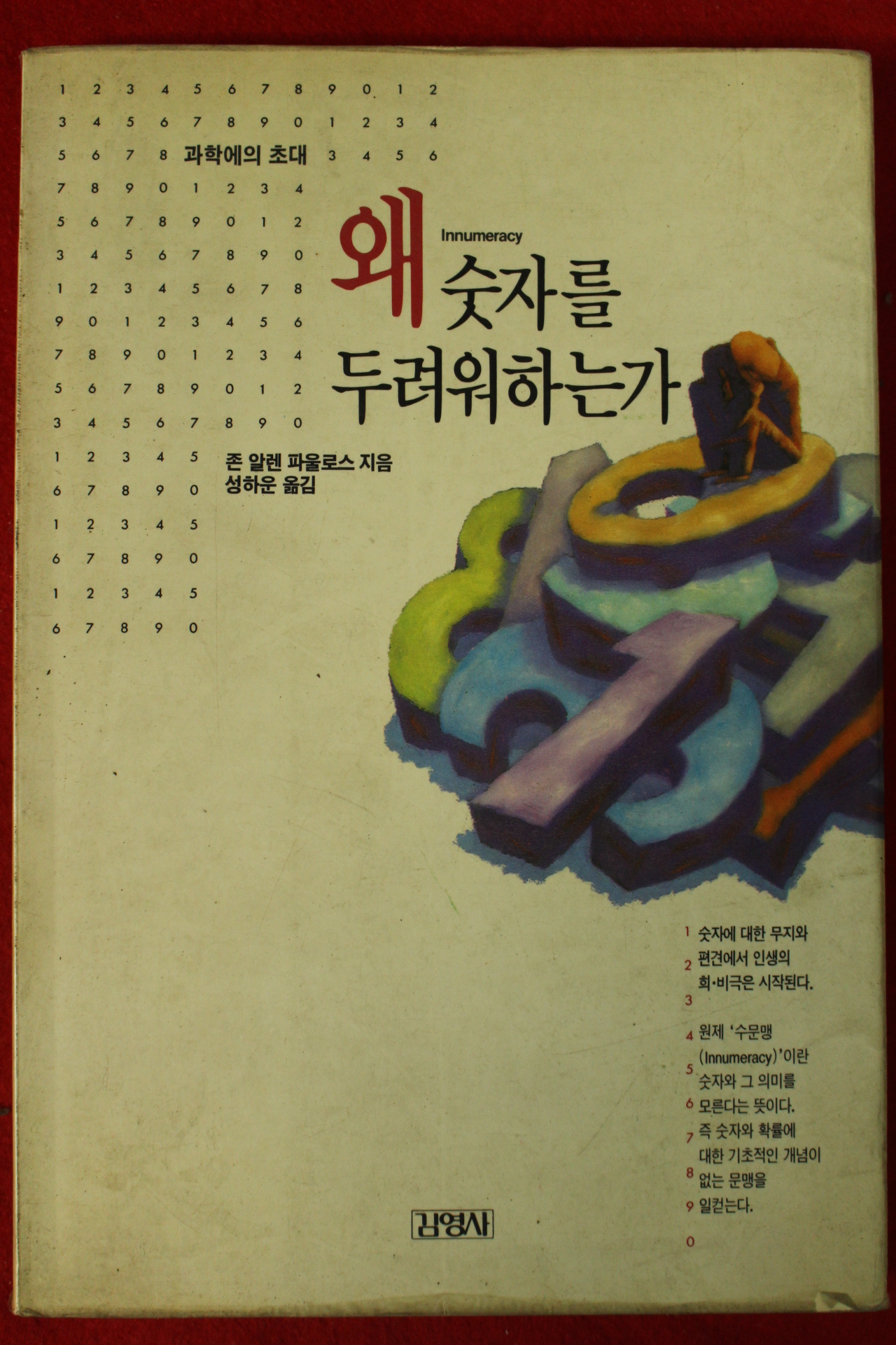 1991년초판 존 알렌 파울로스 왜 숫자를 두려워하는가