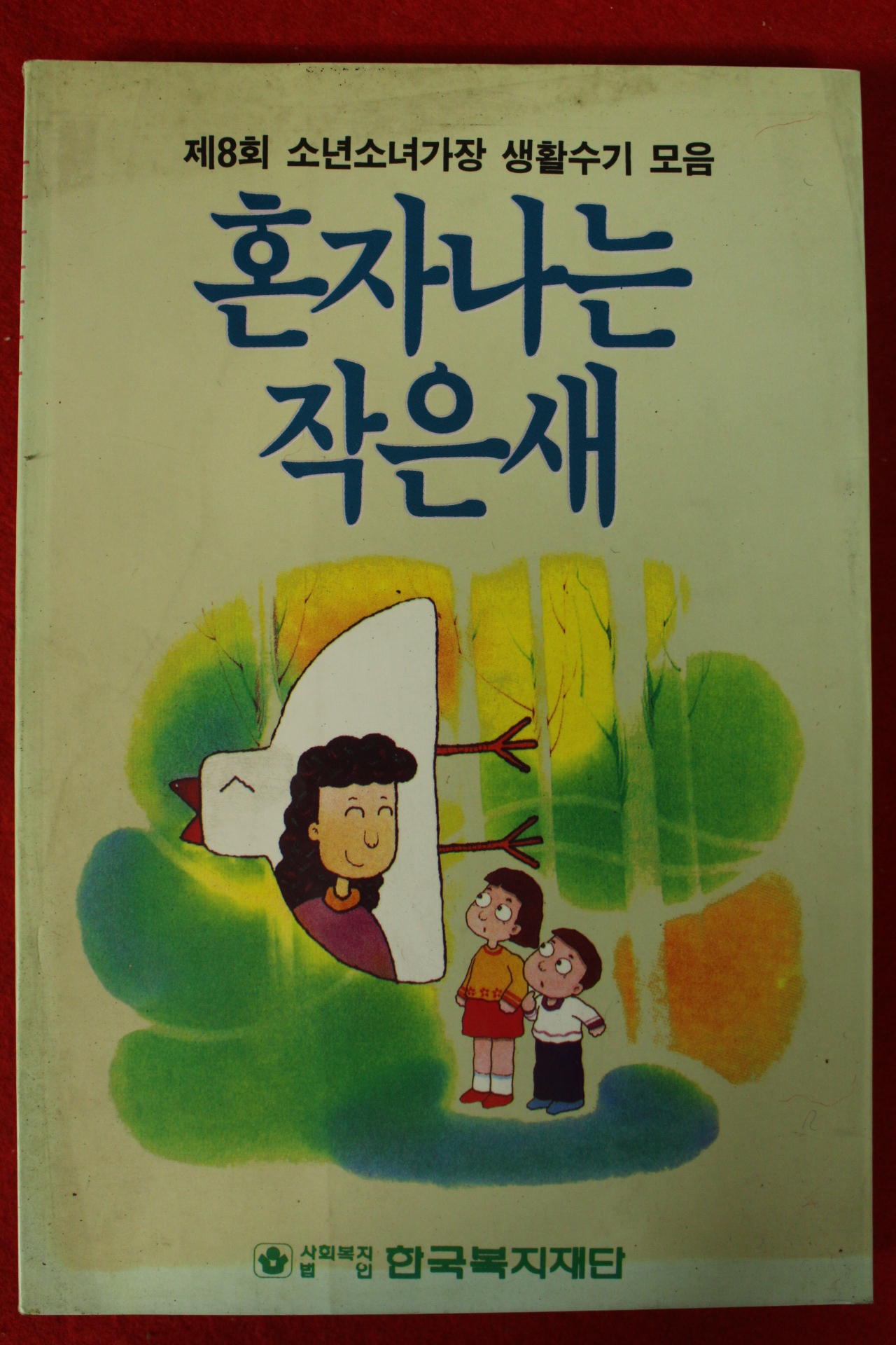 1995년 혼자나는 작은새