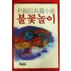 1990년 박범신 장편소설 불꽃놀이