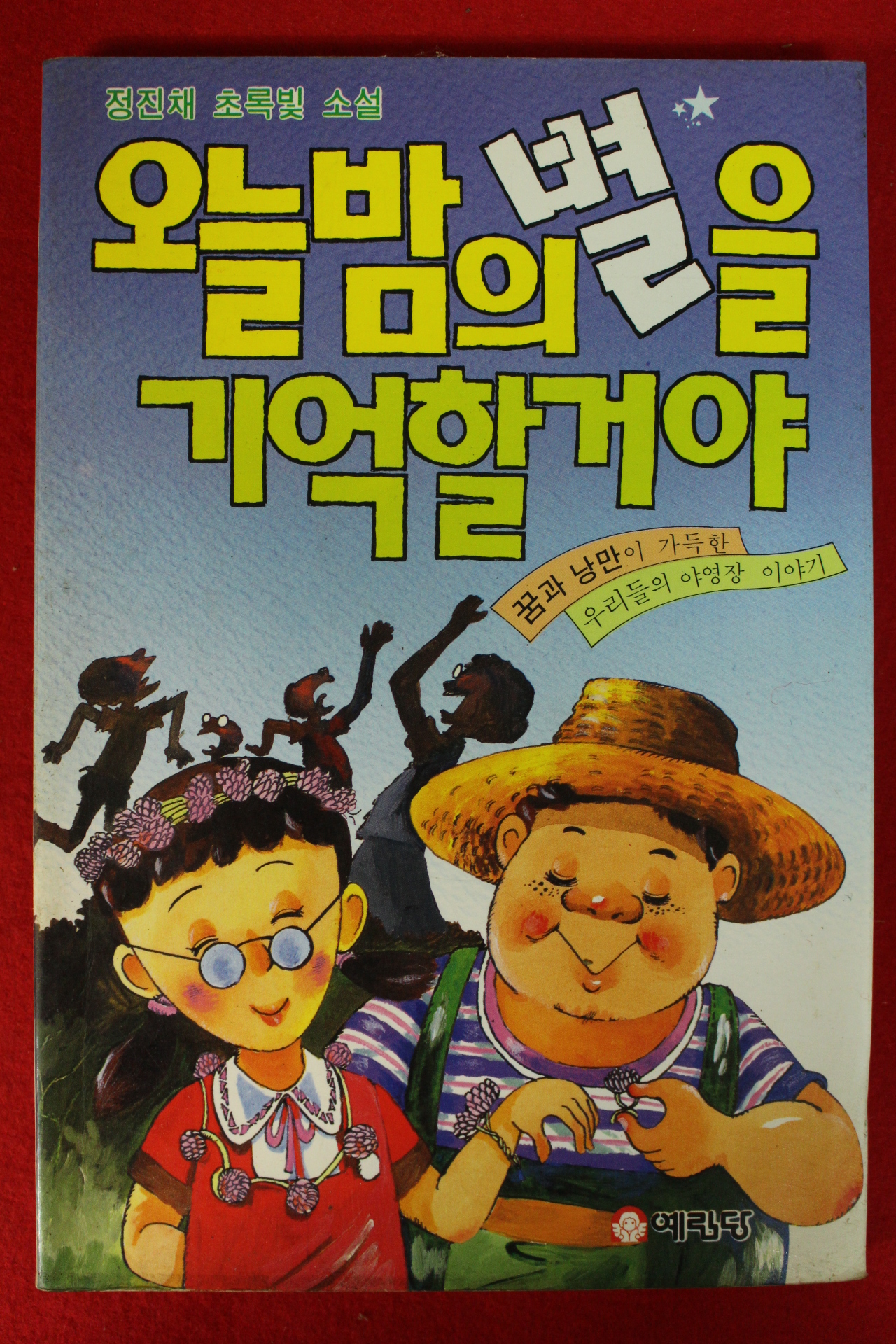 1992년 정진채 소설 오늘밤의 별을 기억할거야