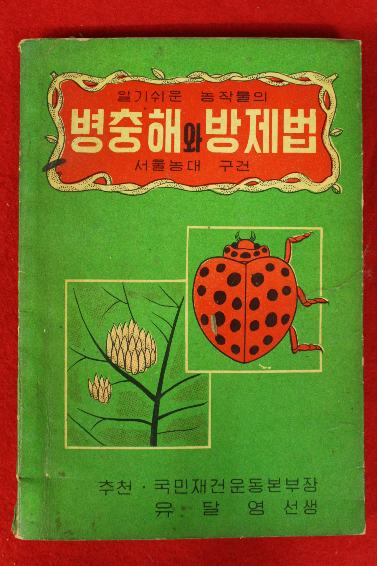 1962년초판 선울농대 구건 병충해와 방제법