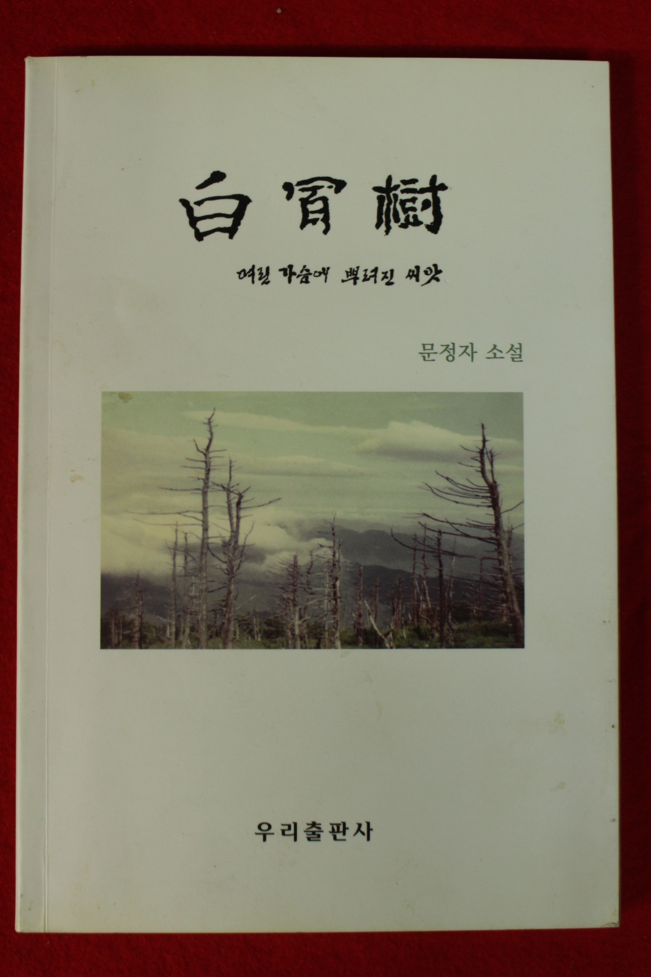 2010년 문정자소설 백골수(白骨樹)