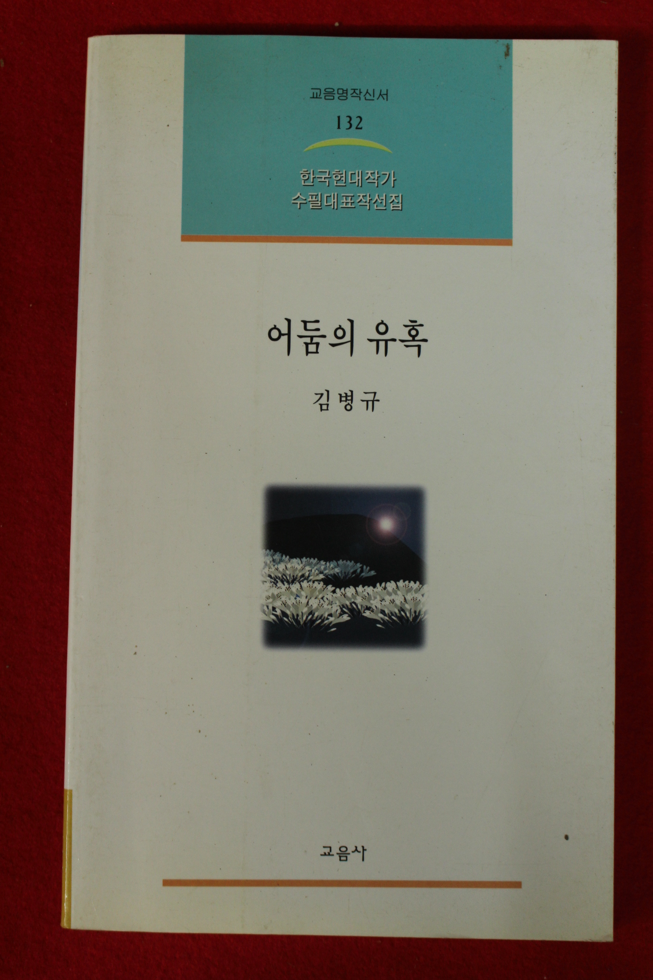 2001년초판 김병규 어둠의 유혹