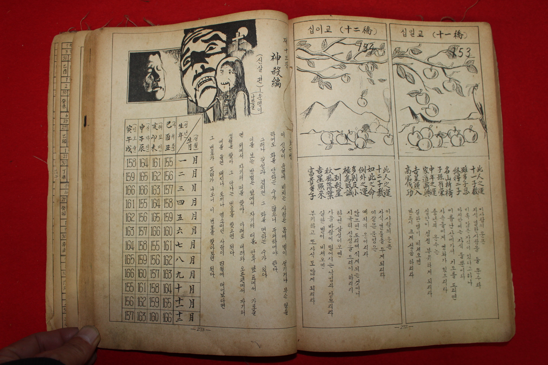 1970년 역술전서(易術全書) 1책완질
