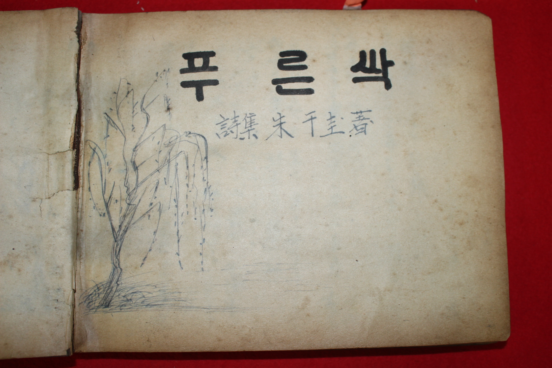 1955년 주천규(朱千圭) 미간행 시집 원고본 푸른 싹