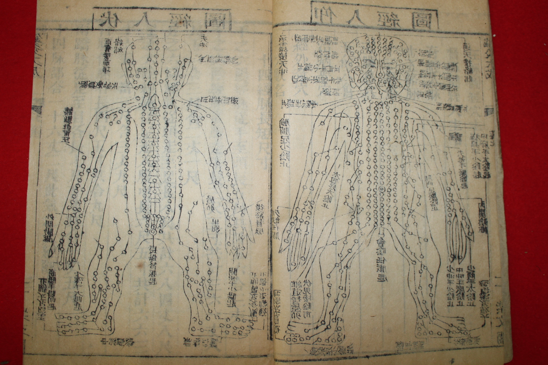 1886년(광서12년) 중국목판본 침구대성(鍼灸大成) 10책완질