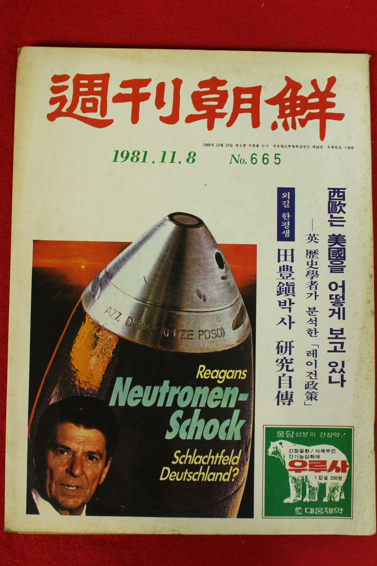 1981년 주간조선 11월8일자