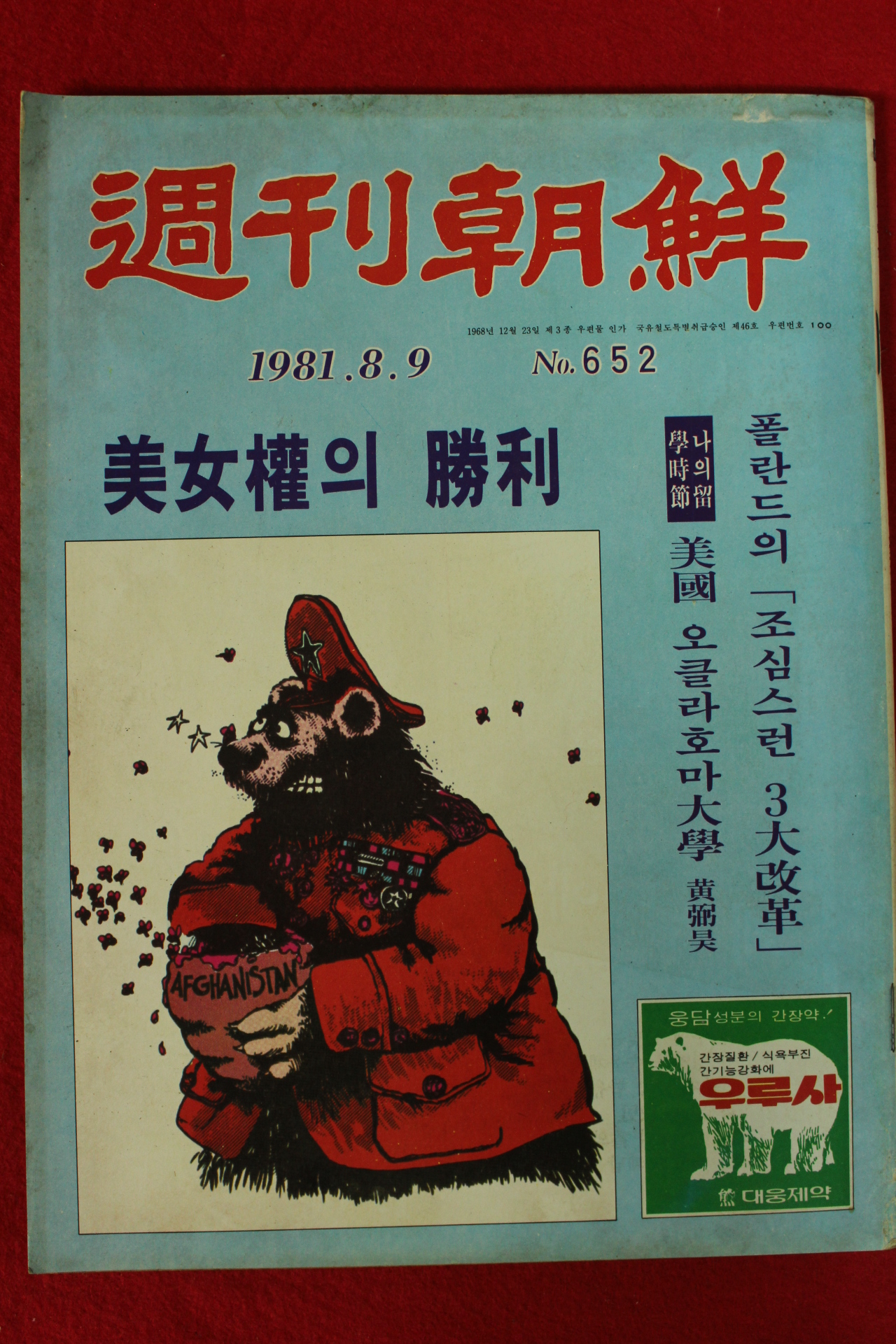 1981년 주간조선 8월9일자