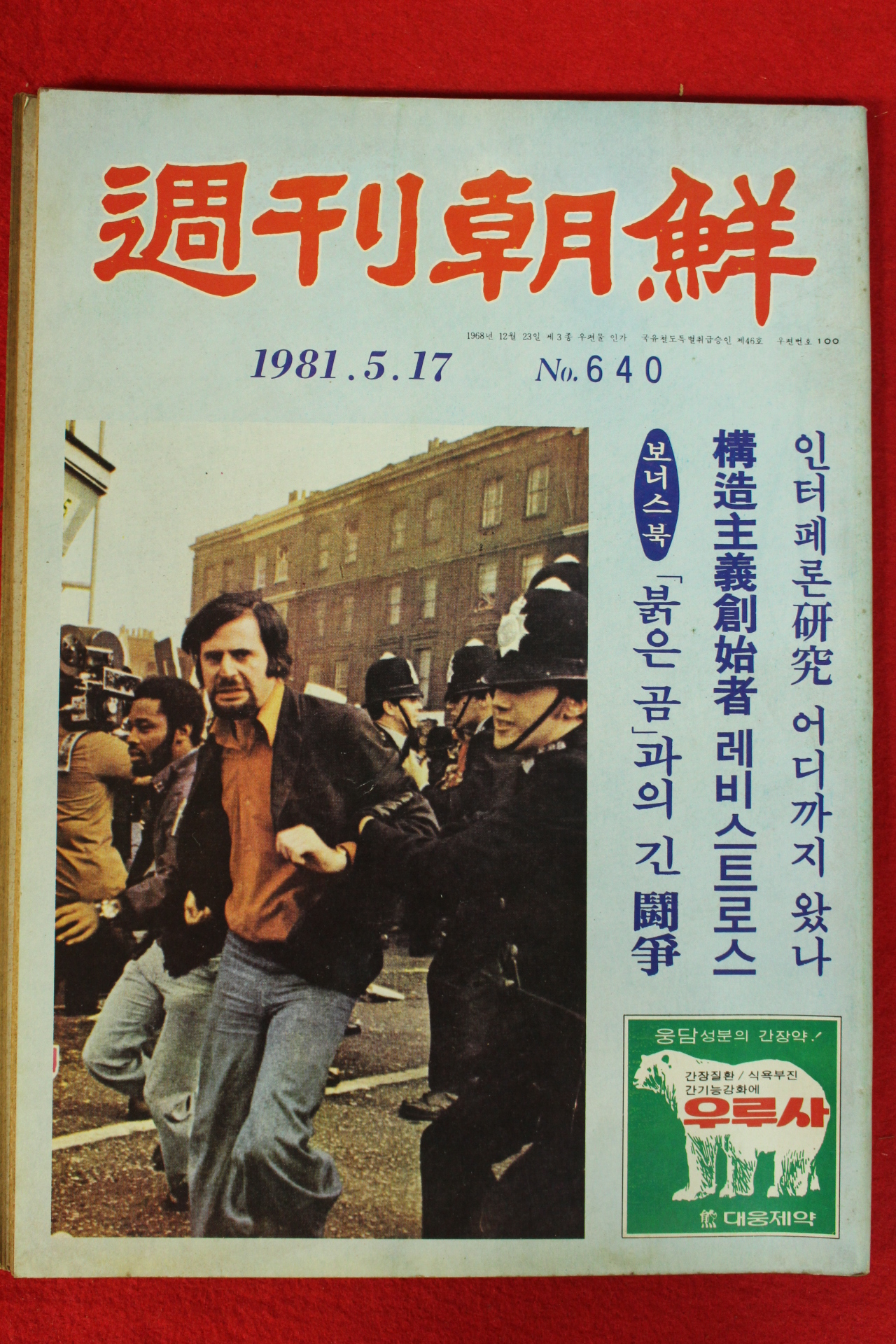 1981년 주간조선 5월17일자