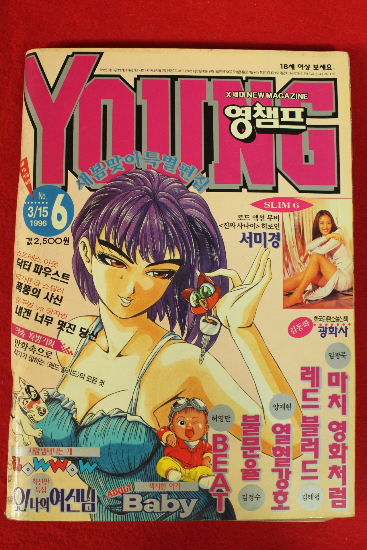 1996년 영챔프 3월15일자 만화잡지
