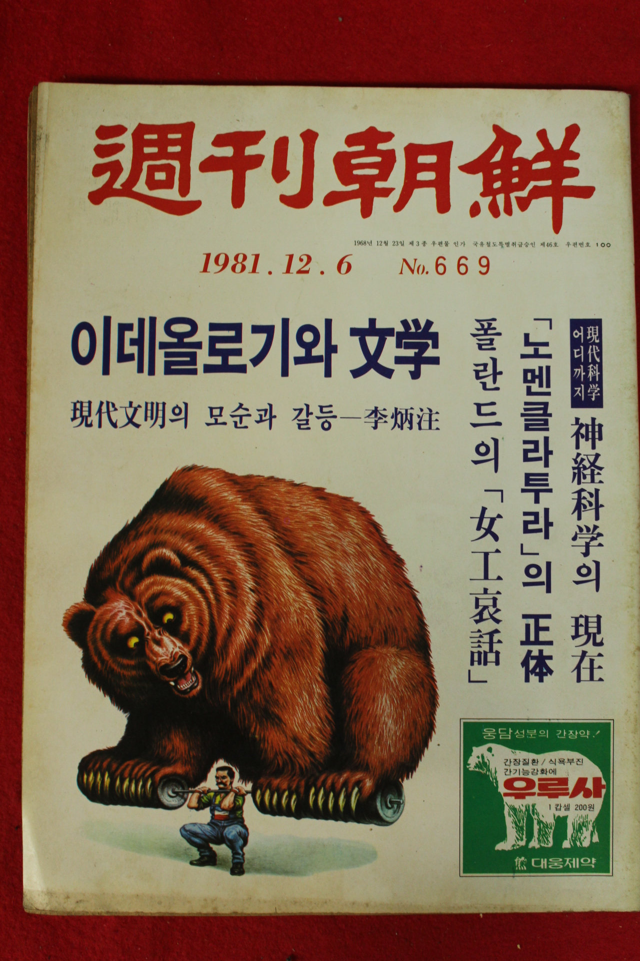 1981년 주간조선 12월6일자
