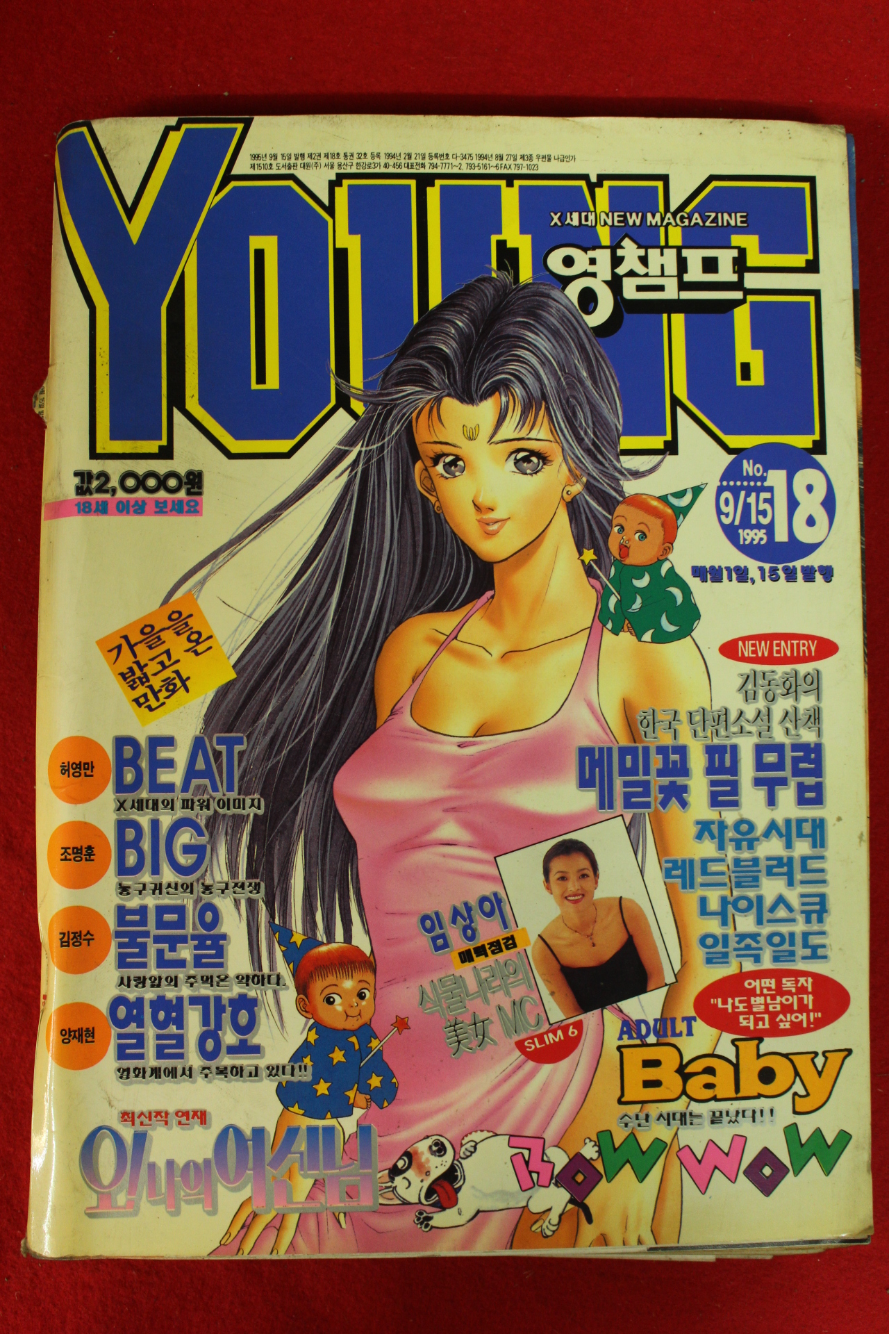 1995년 만화잡지 영챔프 18호