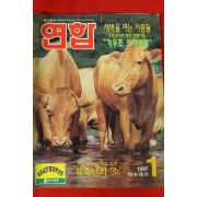 1997년 연합 1월호
