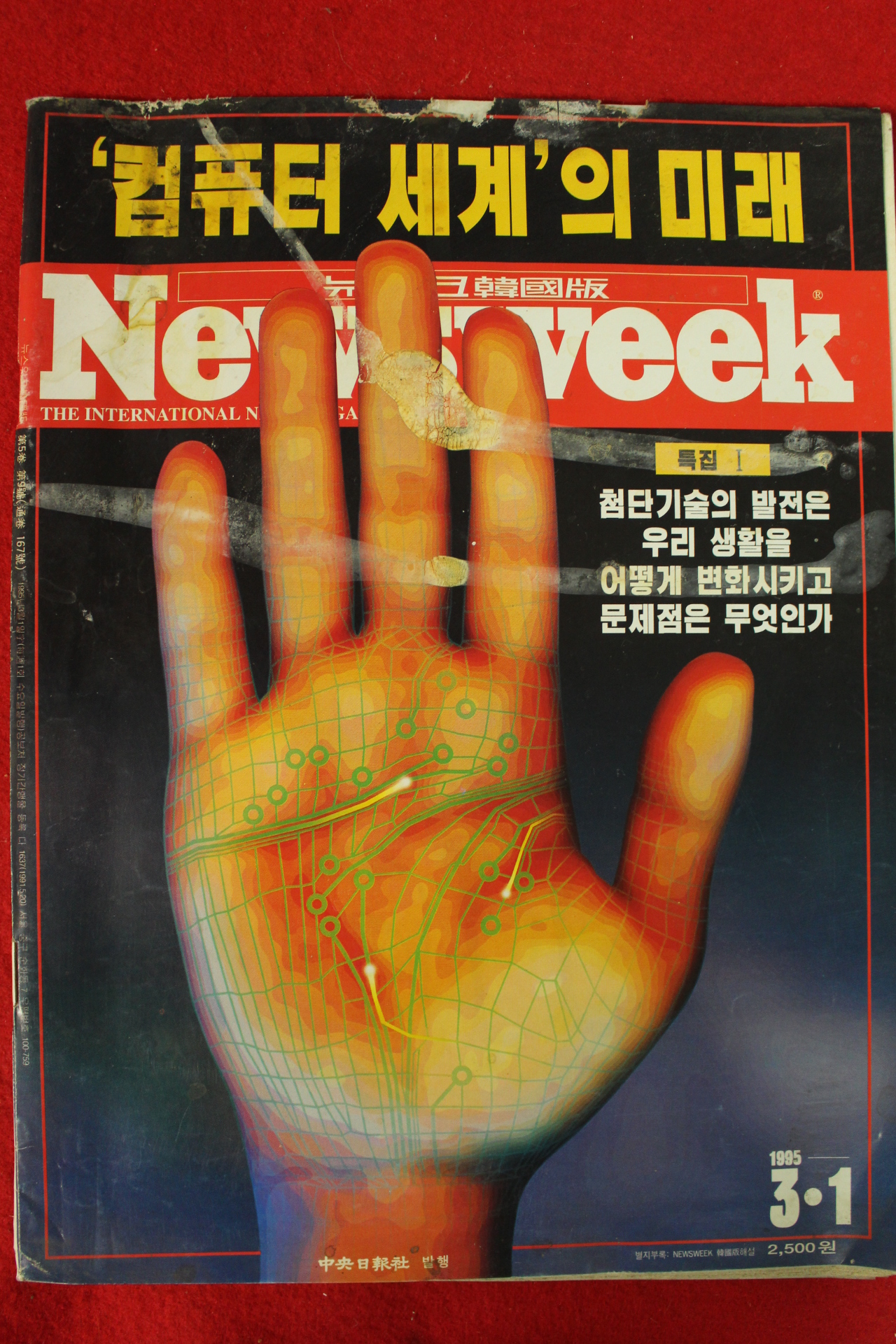 1995년 뉴스위크 3월1일자