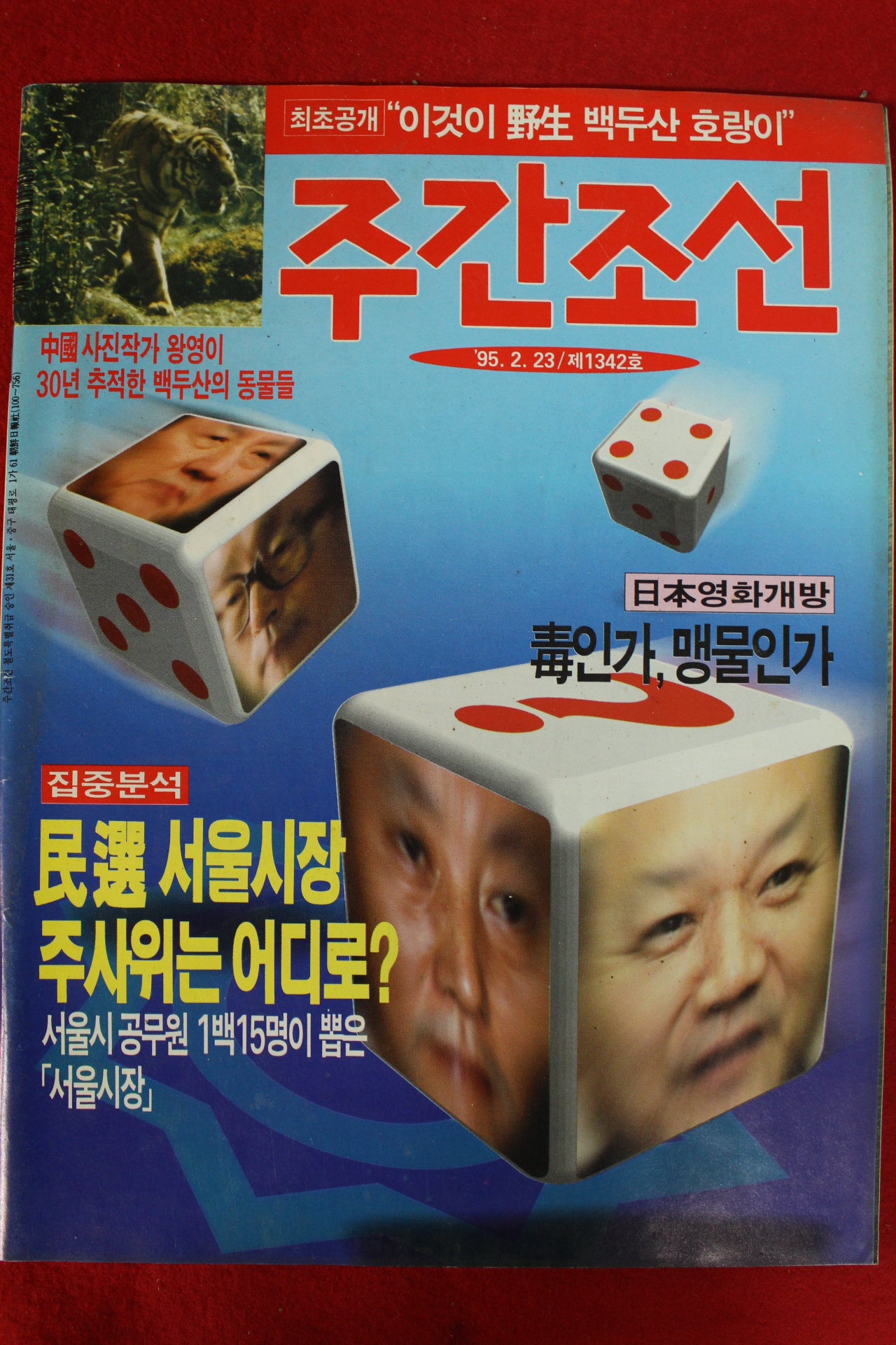 1995년 주간조선 2월23일자