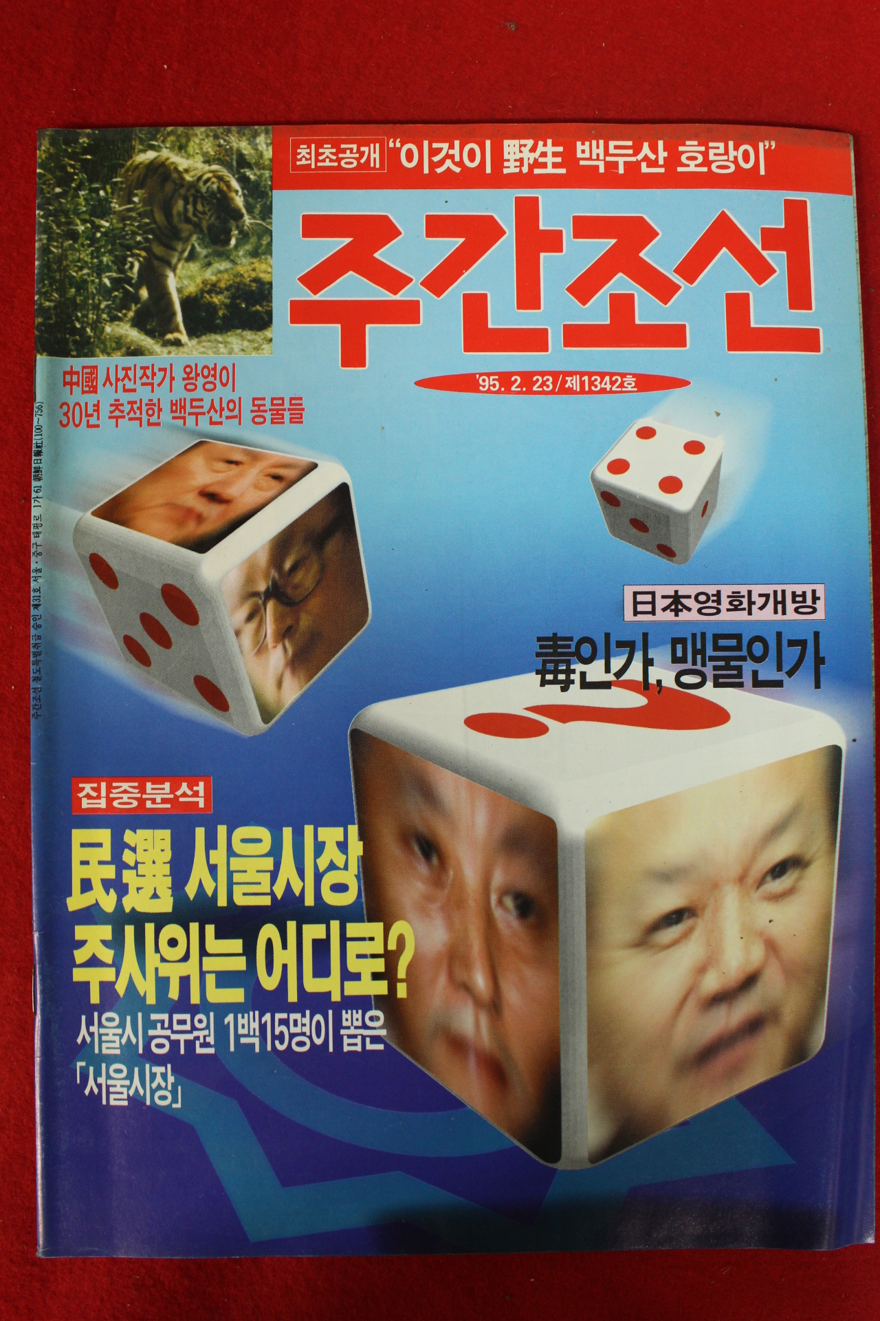 1995년 주간조선 2월23일자