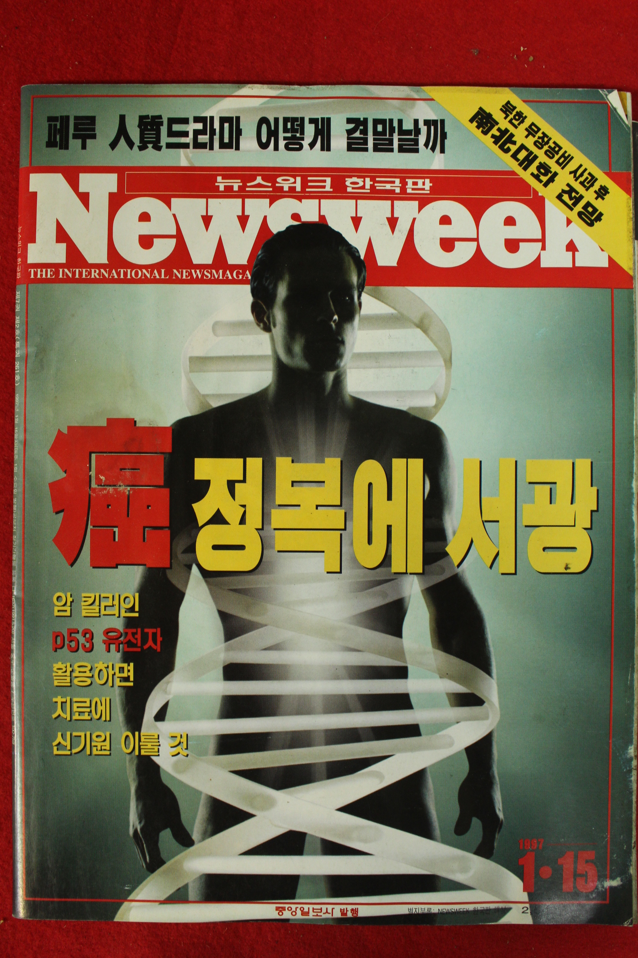 1997년 뉴스위크 1월15일자